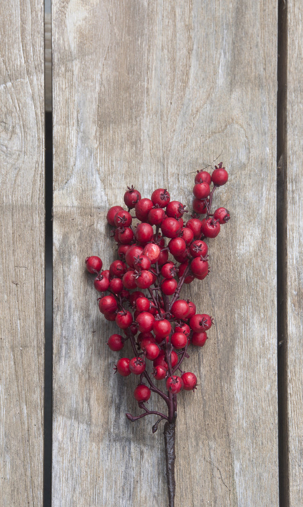 12" Cranberry Pick Matte Red